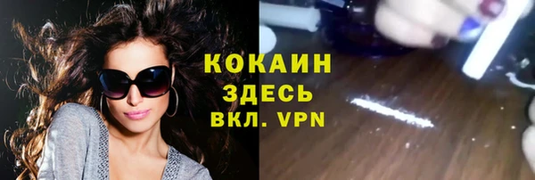 mdpv Козловка
