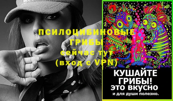 ALPHA PVP Козельск