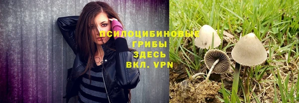 mdpv Козловка