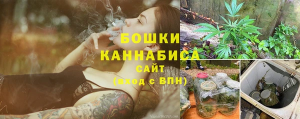ALPHA PVP Козельск