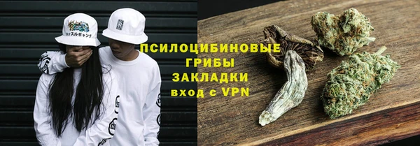 mdpv Козловка