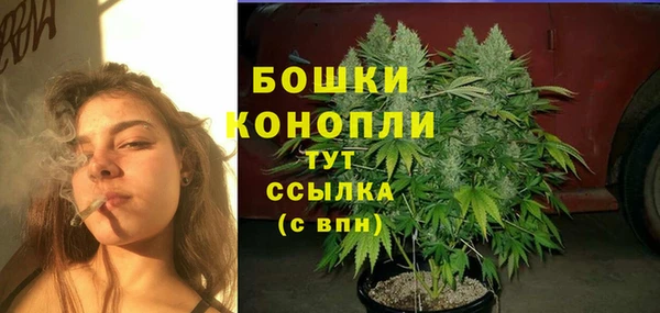 mdpv Козловка
